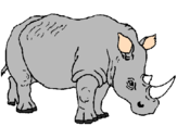 Dibuix Rinoceront pintat per selva