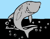 Dibuix Tiburón pintat per sara