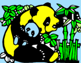Dibuix Mare Panda pintat per IRINA