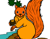 Dibuix Esquirol pintat per LOr