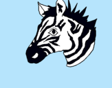 Dibuix Zebra II pintat per Clara