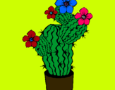 Dibuix Flors de cactus pintat per joana dofí1