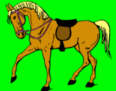 Dibuix Cavall de competició  pintat per CARLA   XIA