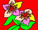 Dibuix Flors pintat per pat