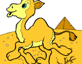 Dibuix Camell pintat per Siru