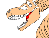 Dibuix Esquelet tiranosauri rex pintat per marc s