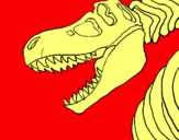 Dibuix Esquelet tiranosauri rex pintat per maxi