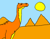 Dibuix Camell pintat per raquel