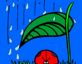 Dibuix Marieta de set punts protegida de la pluja  pintat per SERGI EL MACNIFICO