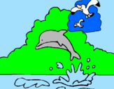 Dibuix Dofí i gavina pintat per JORGE  DRI