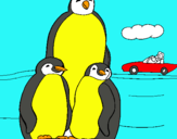 Dibuix Família pingüí  pintat per LLUIS UNDINA
