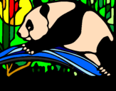Dibuix Ós panda menjant pintat per JORDI SUBIES