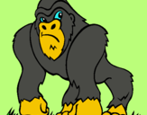 Dibuix Goril·la pintat per mohamed ouchan