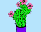 Dibuix Flors de cactus pintat per fror  catuts y crese 