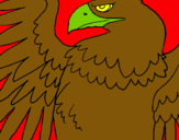 Dibuix Àguila Imperial Romana pintat per robin cruz arjona