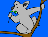 Dibuix Coala pintat per koala