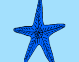 Dibuix Estrella de mar pintat per GISELA