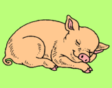 Dibuix Porc dormint pintat per Sonia