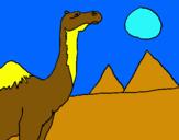 Dibuix Camell pintat per HELENA