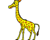 Dibuix Girafa pintat per Patri