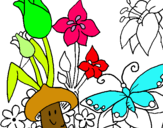 Dibuix Fauna i flora pintat per anònim
