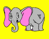 Dibuix Elefant petit pintat per HBA