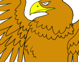 Dibuix Àguila Imperial Romana pintat per ñuma