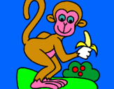 Dibuix Mono pintat per maria