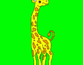 Dibuix Girafa pintat per alba