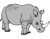 Dibuix Rinoceront pintat per nuria