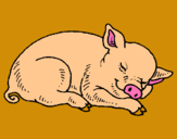 Dibuix Porc dormint pintat per NURIA