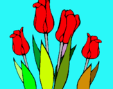 Dibuix Tulipes pintat per carla becerra vilardaga