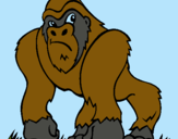 Dibuix Goril·la pintat per CHUCHIN