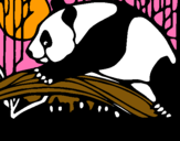 Dibuix Ós panda menjant pintat per ada