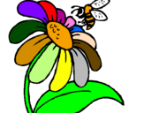 Dibuix Margarida amb abella pintat per alii