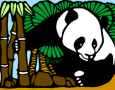Dibuix Ós Panda i Bambú pintat per ROBERT