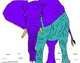 Dibuix Elefant pintat per OLAU RIERA