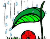 Dibuix Marieta de set punts protegida de la pluja  pintat per ABRIL