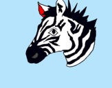 Dibuix Zebra II pintat per marta