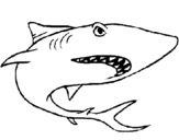 Dibuix Tiburón pintat per clara