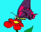 Dibuix Papallona en flor  pintat per AINA