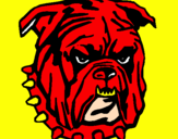 Dibuix Bulldog pintat per hhjyjtuututyhhhnbghhh