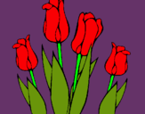 Dibuix Tulipes pintat per daphne