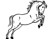 Dibuix Cavall saltant  pintat per Laia
