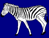 Dibuix Zebra pintat per claudia solanes