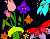 Dibuix Fauna i flora pintat per aija