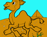 Dibuix Camell pintat per TEO