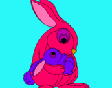 Dibuix Mare conill pintat per Fiona