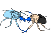 Dibuix Escarabats  pintat per ARNAU.L.O