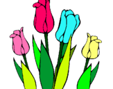 Dibuix Tulipes pintat per flors pel PAPI